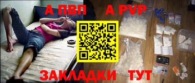 шишки Аргун