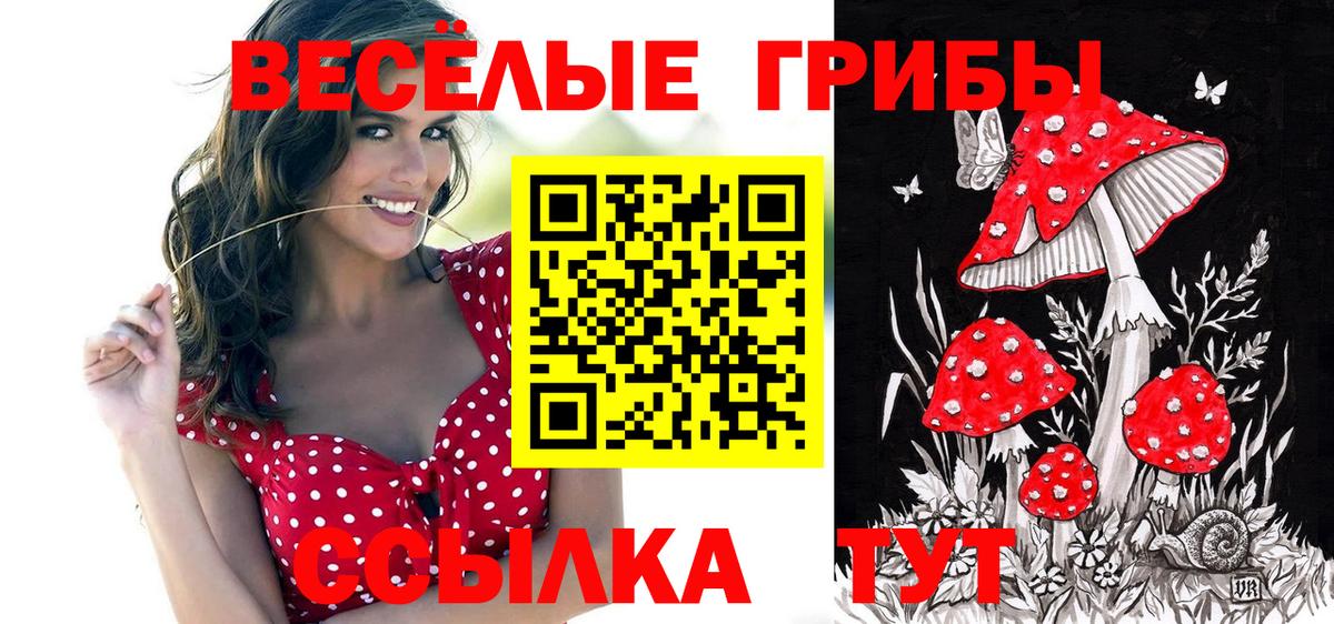 Псилоцибиновые грибы мухоморы Медногорск