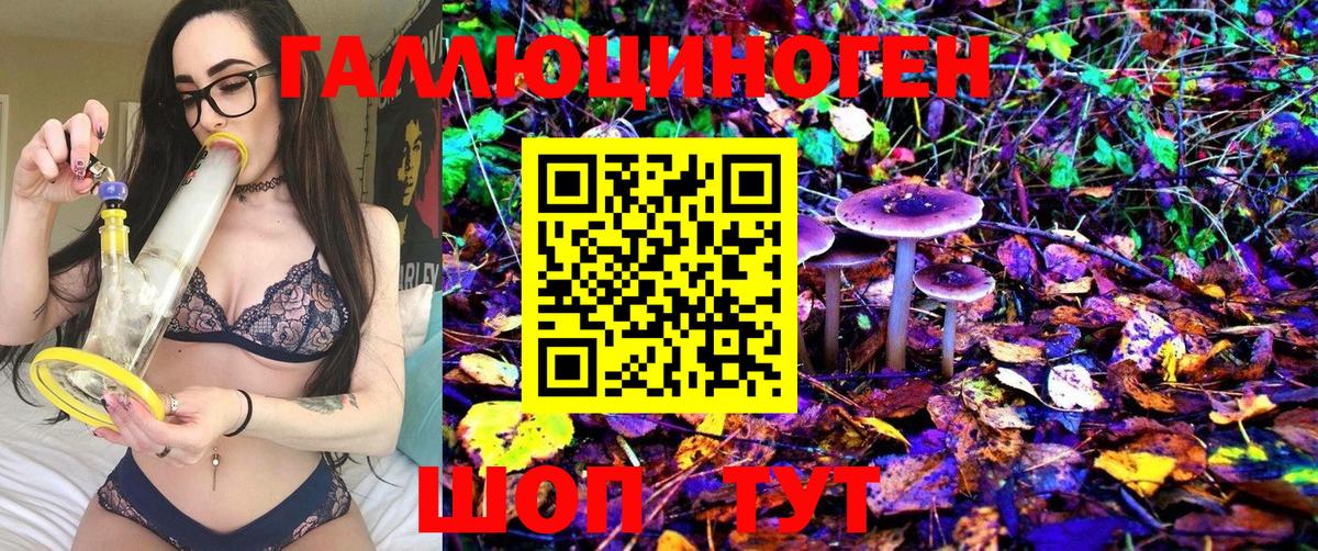 Медногорск  Галлюциногенные грибы MAGIC MUSHROOMS  Вход с VPN 