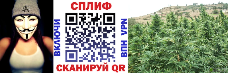МАРИХУАНА планчик  Медногорск 